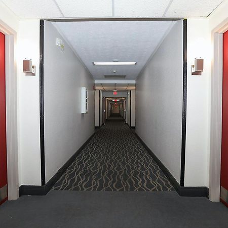Red Roof Inn & Suites Lexington - Hamburg Exterior photo